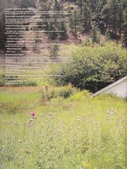 Cover of A wilder life by Celestine Maddy