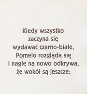 Front cover of Pomelo i kolory by Ramona Badescu