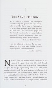 Front cover of The stained glass curtain by Dimitri Sala
