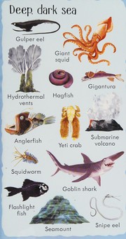 Cover of 199 Things under the Sea by Hannah Watson