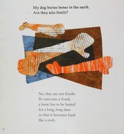 Front cover of Fossils Tell Stories by Yu-Ri Kim