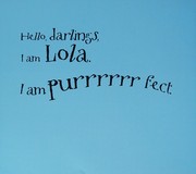 Front cover of What Lola Wants, Lola Gets by David Salariya