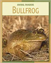 Cover of Bullfrog by Susan Heinrichs Gray
