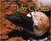 Front cover of Life cycles by Charlotte Guillain