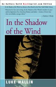 Front cover of In the shadow of the wind by Luke Wallin