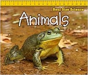 Cover of Animals by Rebecca Rissman