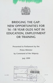 Cover of Bridging the gap by Great Britain. Social Exclusion Unit.