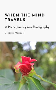 Cover of When the Mind Travels by Cendrine Marrouat