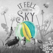Cover of It Fell from the Sky by Terry Fan