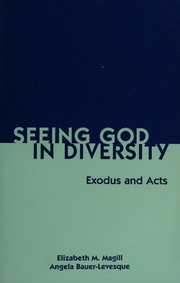 Front cover of Seeing God in diversity by Elizabeth M. Magill