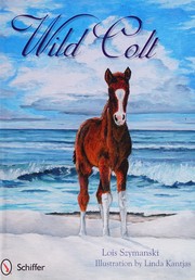 Cover of Wild colt by Lois Szymanski