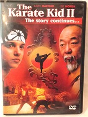 Cover of The karate kid by Jerry Weintraub