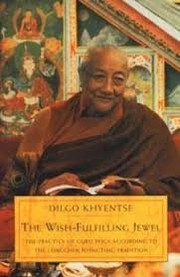Front cover of The wish-fulfilling jewel by Dilgo Khyentse