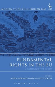 Front cover of Fundamental Rights in the EU by Sonia Morano-Foadi