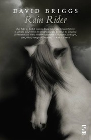 Cover of Rain rider by David Briggs