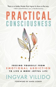 Cover of Practical Consciousness by Ingvar Villido
