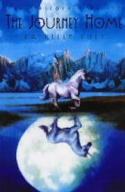 Front cover of The Journey Home (The Unicorn's Secret #8) by Kathleen Duey