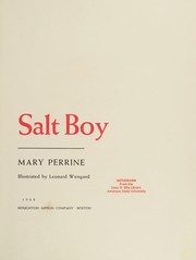 Cover of Salt Boy by Mary Perrine