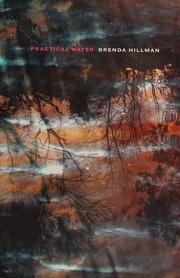 Cover of Practical water by Brenda Hillman
