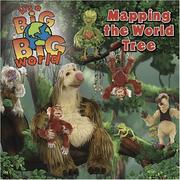 Front cover of It's a Big Big World by Don Curry