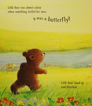 Front cover of Little Bear and the Butterflies by Susan Quinn