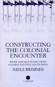 Cover of Constructing the colonial encounter by Niels Brimnes