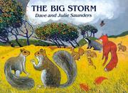 Cover of Big storm by Dave Saunders
