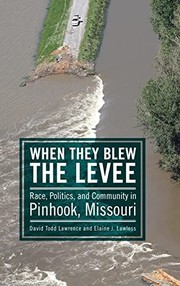 Cover of When They Blew the Levee by David Todd Lawrence