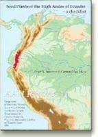 Front cover of Seed plants of the high Andes of Ecuador by Peter Møller Jørgensen