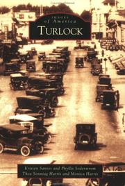 Front cover of Turlock by Kristen Santos
