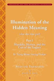 Cover of Illumination of the Hidden Meaning by David B. Gray