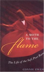 Front cover of The Moth To The Flame by Connie Zweig