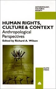 Front cover of Human Rights, Culture and Context by Richard A. Wilson