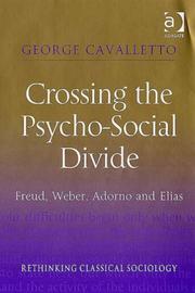 Front cover of Crossing the psycho-social divide by George Cavalletto