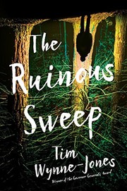 Front cover of The ruinous sweep by Tim Wynne-Jones