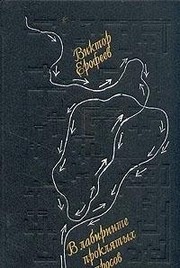 Cover of V labirinte prokli͡a︡tykh voprosov by Виктор Владимирович Ерофеев