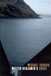 Cover of Walter Benjamin's grave by Michael T. Taussig