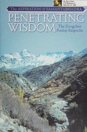 Front cover of Penetrating Wisdom by Dzogchen Ponlop Rinpoche