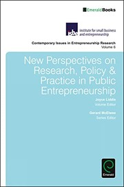 Front cover of New Perspectives on Research, Policy and Practice in Public Entrepreneurship by Gerard McElwee