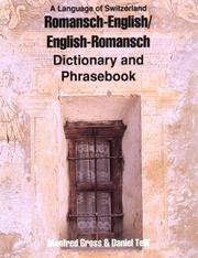 Front cover of Romansch-English, English-Romansch by Manfred Gross