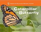 Front cover of Caterpillar to butterfly by Melissa Stewart