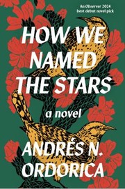 Front cover of How We Named the Stars by Andrés N. Ordorica