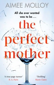 Cover of The perfect mother by Aimee Molloy
