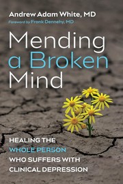 Cover of Mending a Broken Mind by Andrew Adam White