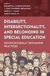 Front cover of Intersectional Approach to Working with Students with Disabilities by L. Lynn Stansberry Brusnahan