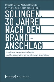 Front cover of Solingen, 30 Jahre nach dem Brandanschlag by Birgül Demirtaş