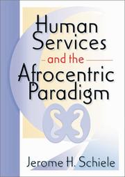 Cover of Human Services and the Afrocentric Paradigm by Jerome H. Schiele