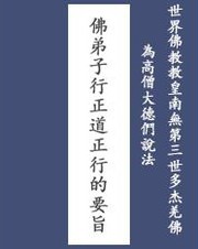 Cover of 世界佛教教皇南無第三世多杰羌佛為高僧大德們說法：佛弟子行正道正行的要旨 by 南無第三世多杰羌佛