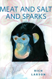 Front cover of Meat and Salt and Sparks by Rich Larson