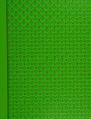 Front cover of The boy who came up quietly by Michael Capizzi